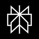 Perplexity AI logo
